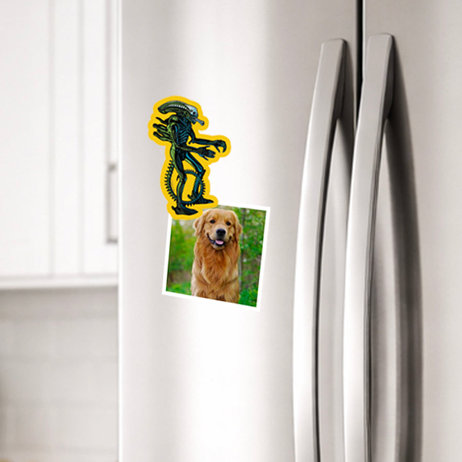 Xenomorph 3 Piece Bundle