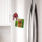 Maximillion Magnet