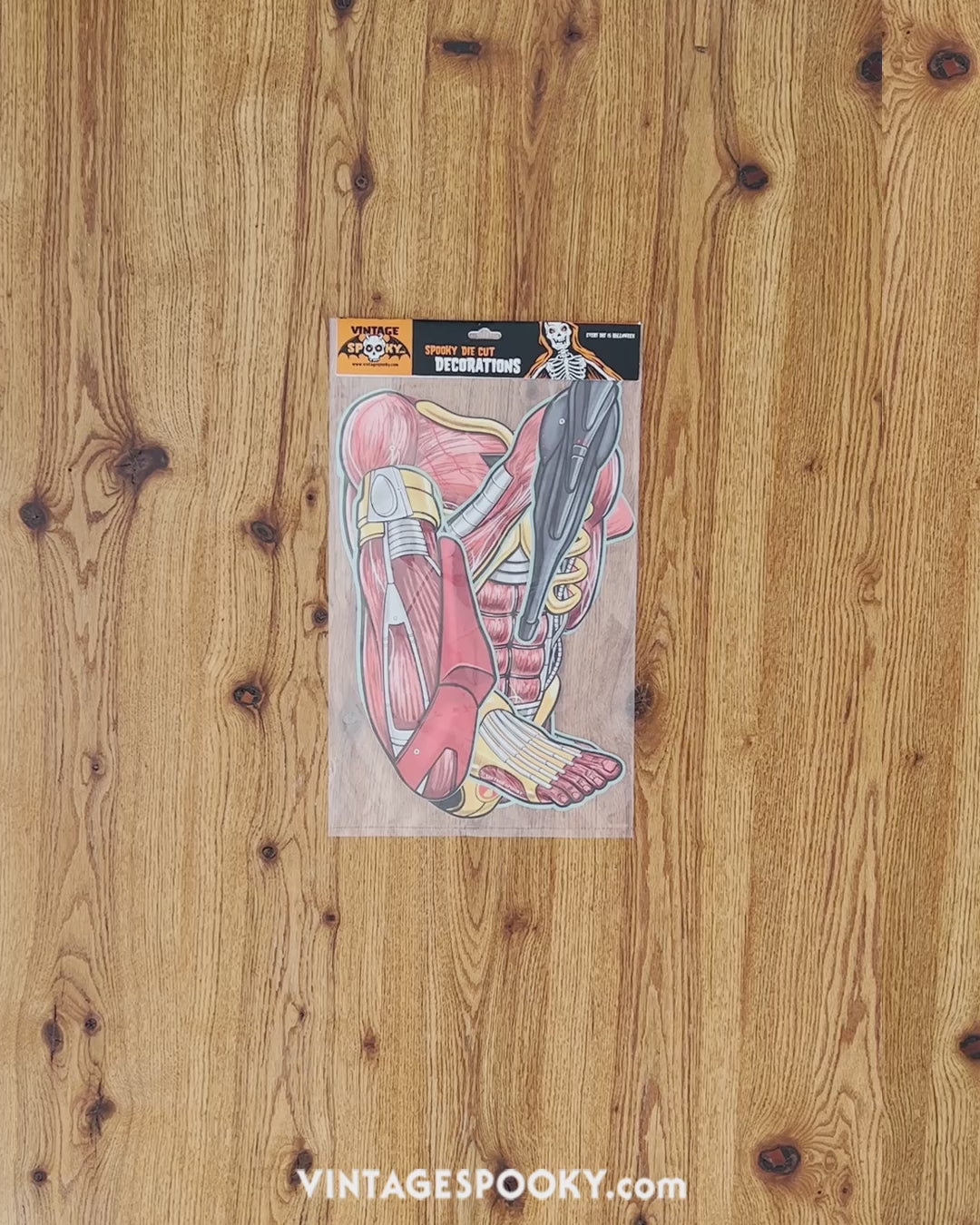 4' Eddie Jointed Cutout